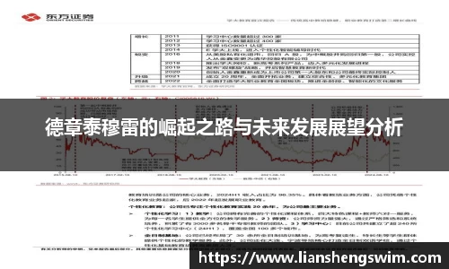 德章泰穆雷的崛起之路与未来发展展望分析
